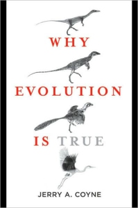 why-evolution-coyne